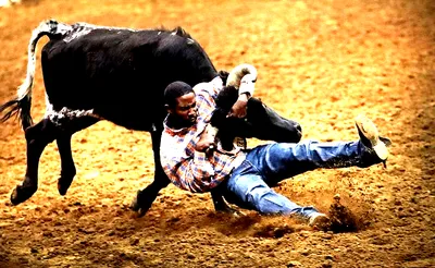 Black Rodeo