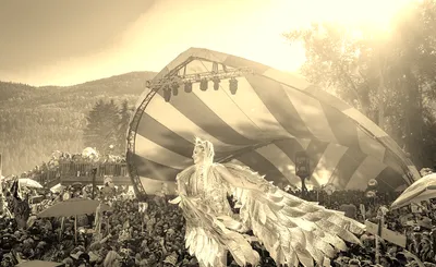Shambhala Music Festival