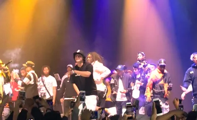 Shoreline Mafia
